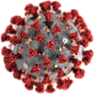 Das Coronavirus SARS-CoV-2, Auslöser der Lungenkrankheit COVID-19